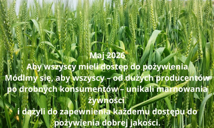 RÓŻE RÓŻAŃCOWE
