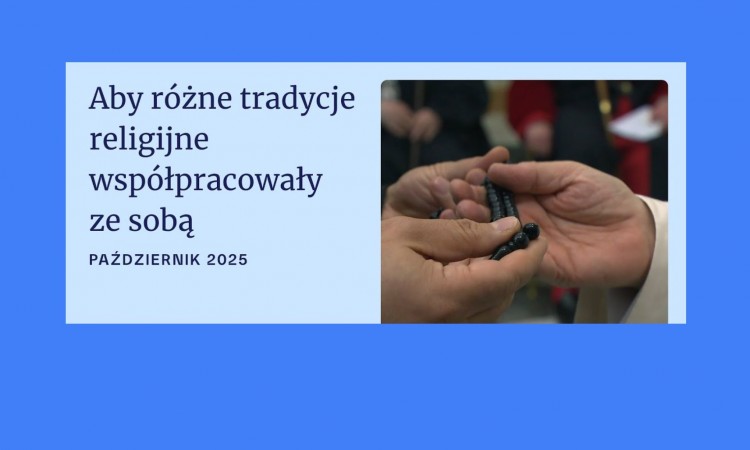 RÓŻE RÓŻAŃCOWE