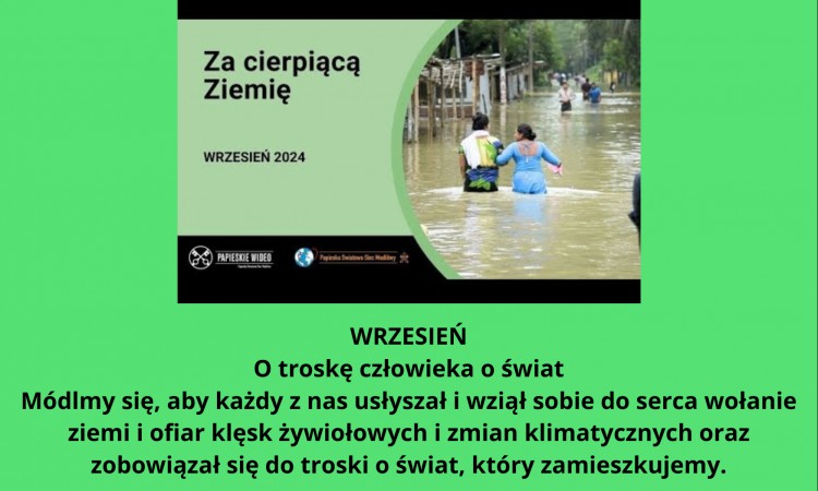 RÓŻE RÓŻAŃCOWE