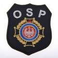 Msza św. w intencji Zarządu gminnego OSP